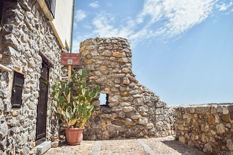 untitled (15 of 21).jpg